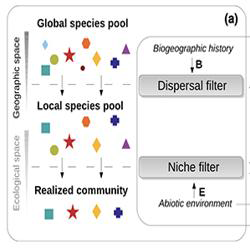 Biogeography, Macroecology & Ecophylogenetics icon