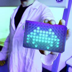 Experimental Evolution icon